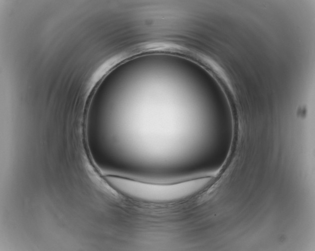 X0000089661330200706210722