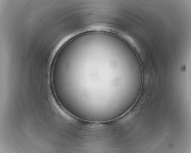 X0000089661331200706210722