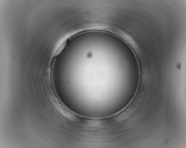 X0000089661332200706210722