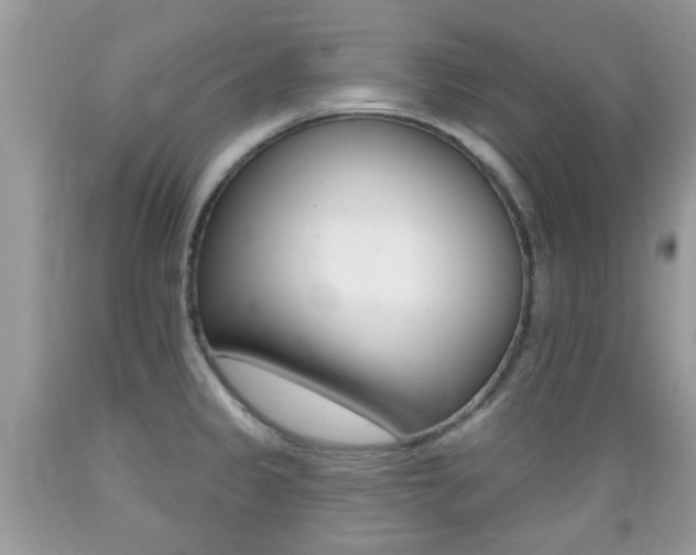 X0000089661333200706210722