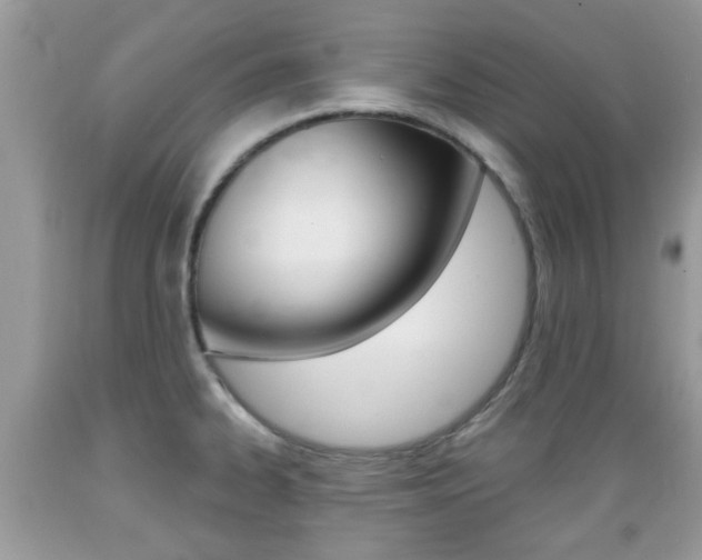 X0000089661334200706210722