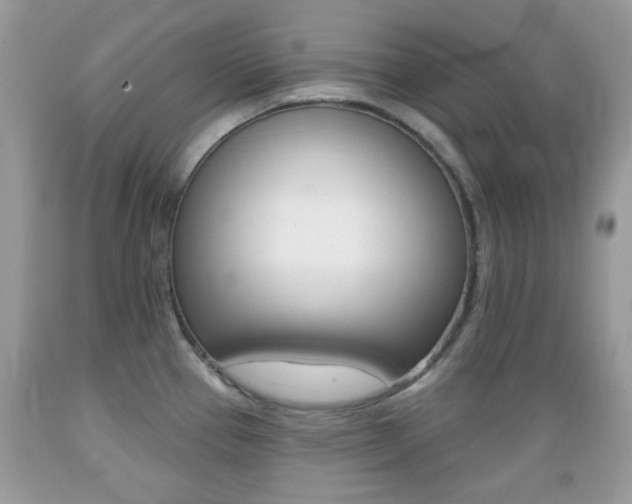 X0000089661337200706210722