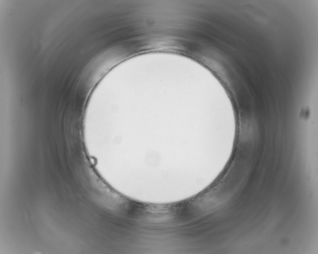 X0000089661338200706210722