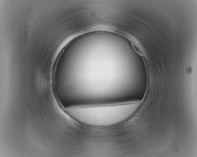 X0000089661339200706210722