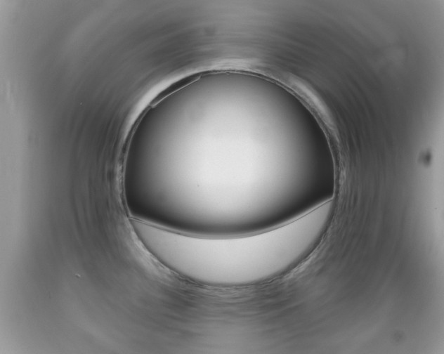 X0000089661340200706210722