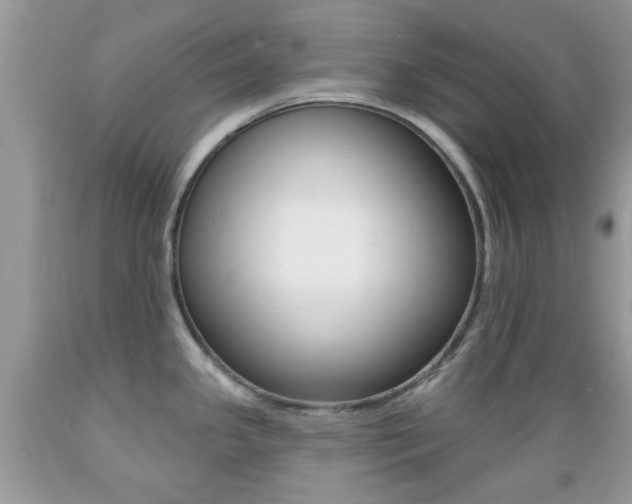 X0000089661341200706210722