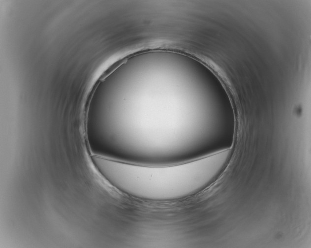 X0000089661342200706210722