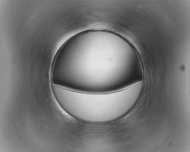 X0000089661343200706210722