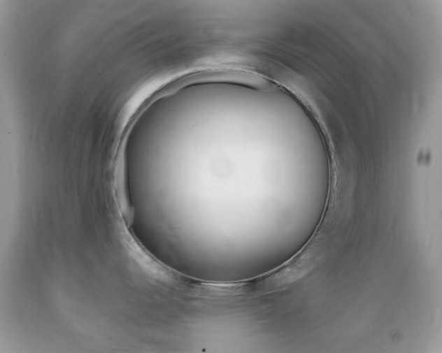 X0000089661344200706210722
