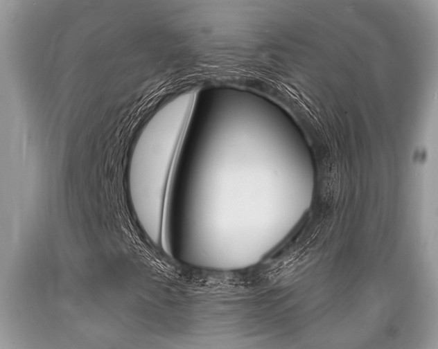 X0000089661345200706210721