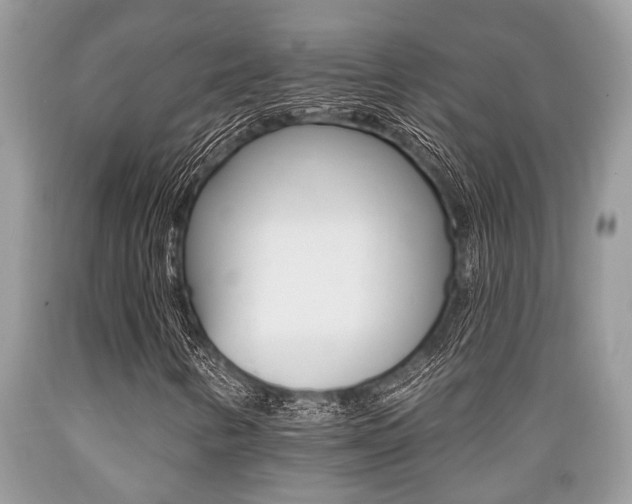 X0000089661346200706210721