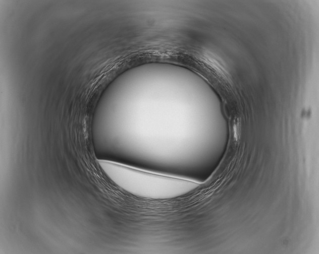 X0000089661347200706210721