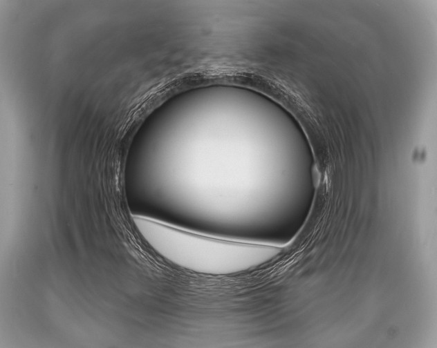 X0000089661348200706210721
