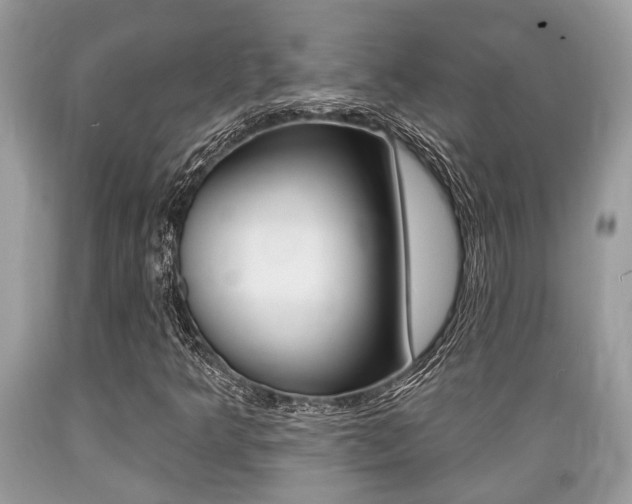 X0000089661349200706210721