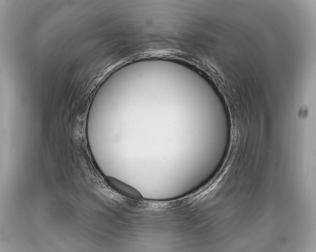 X0000089661353200706210721