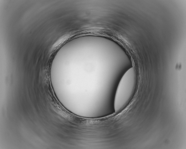 X0000089661354200706210721