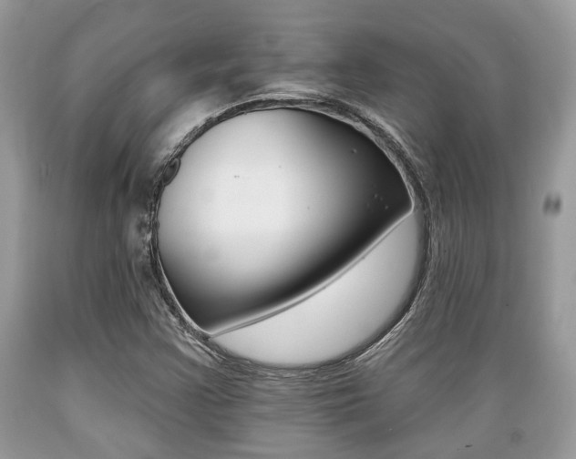X0000089661355200706210721