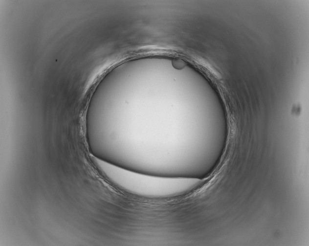 X0000089661357200706210721