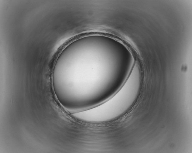 X0000089661360200706210721