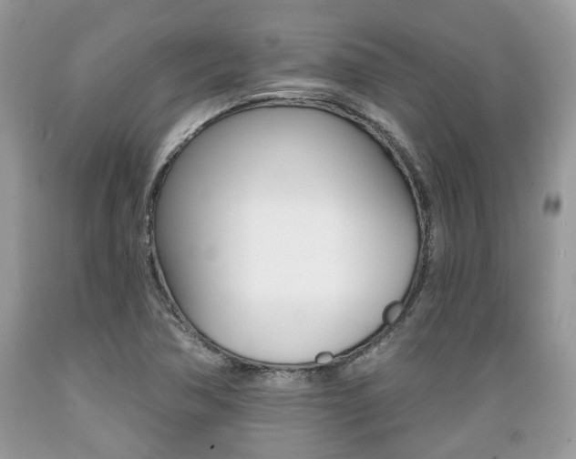 X0000089661362200706210721