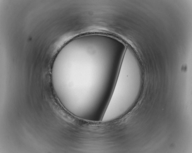 X0000089661363200706210721