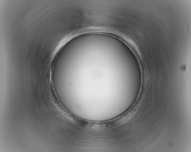 X0000089661365200706210721