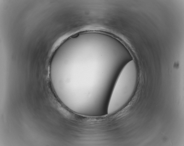 X0000089661366200706210721