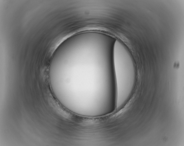 X0000089661369200706210721