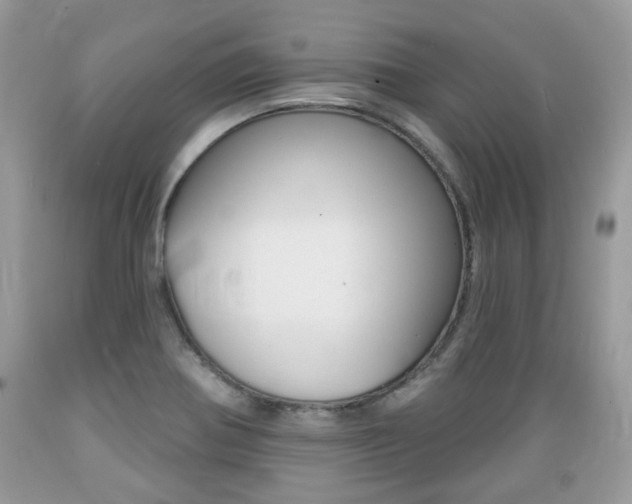 X0000089661370200706210721
