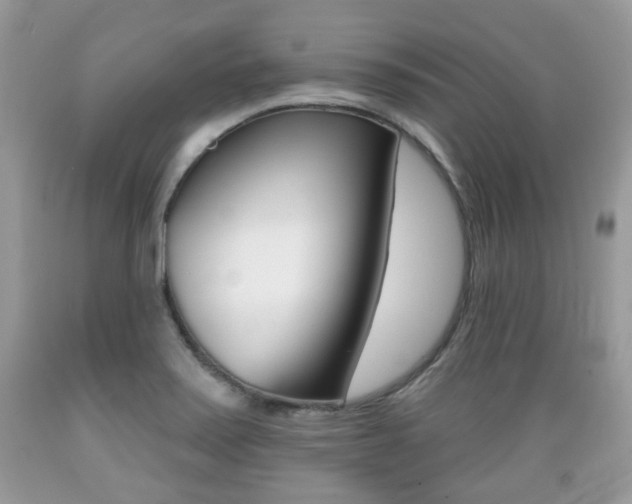 X0000089661371200706210721