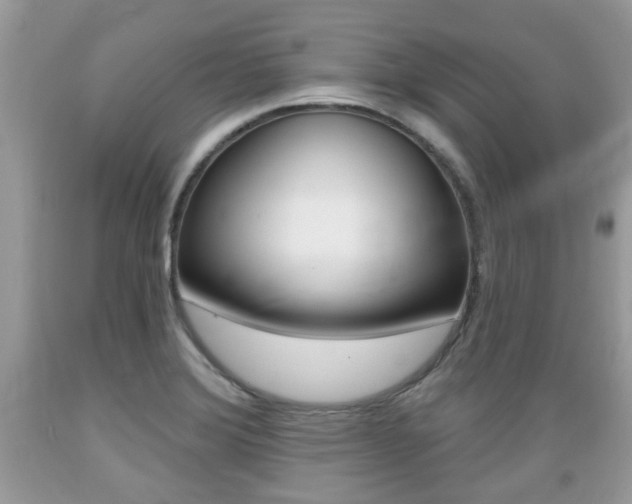 X0000089661372200706210721