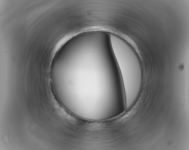 X0000089661373200706210721
