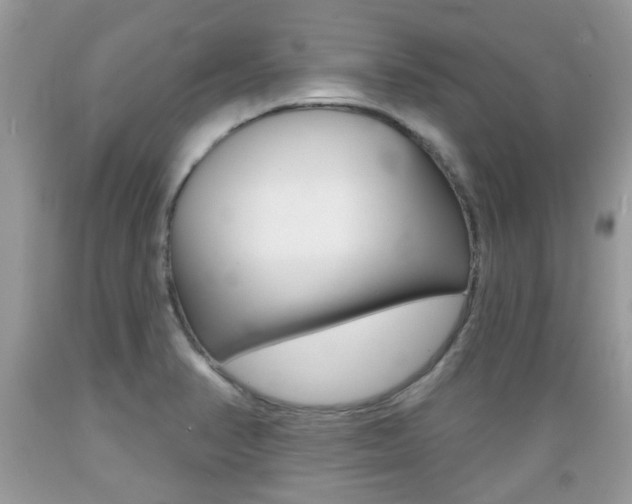 X0000089661374200706210721