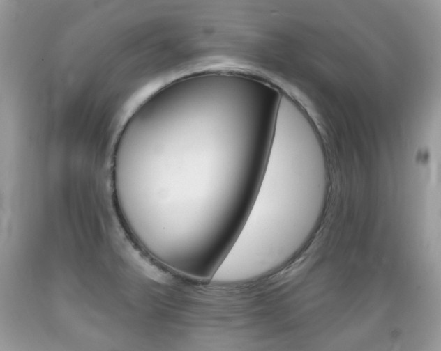 X0000089661375200706210721