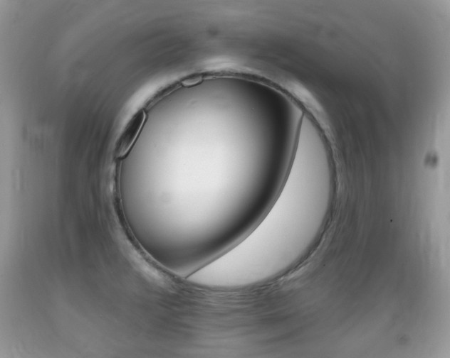 X0000089661376200706210721