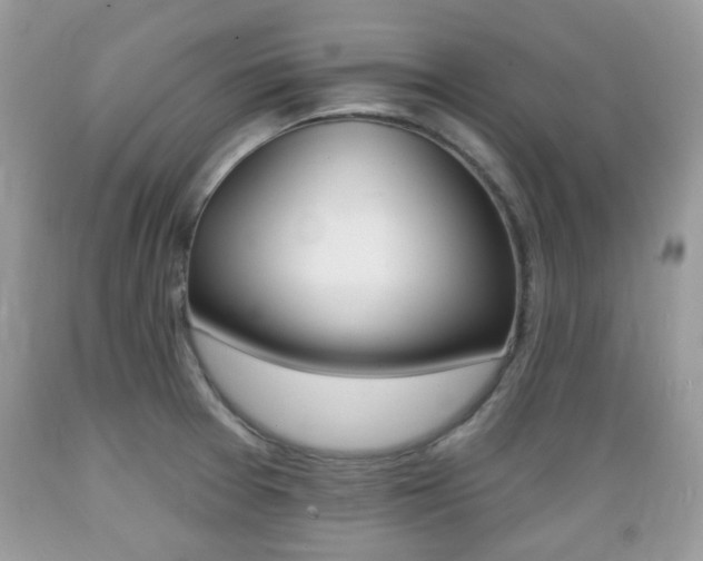 X0000089661377200706210721