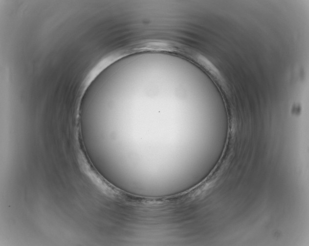 X0000089661378200706210721