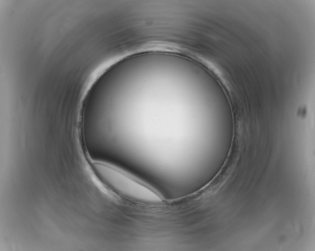 X0000089661379200706210721