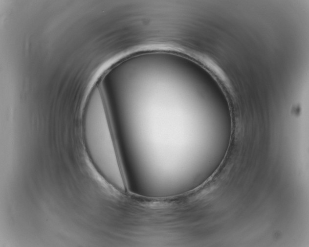 X0000089661380200706210721