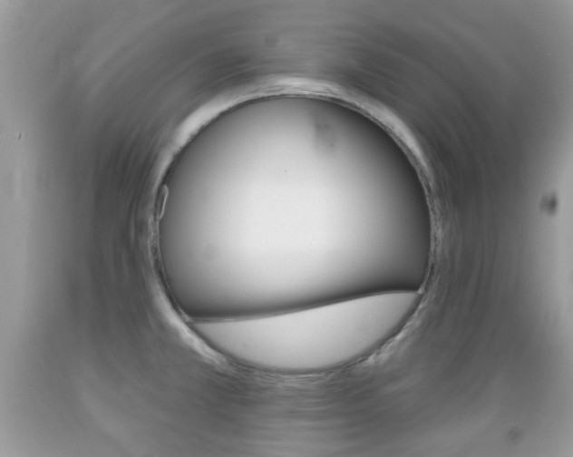X0000089661381200706210721