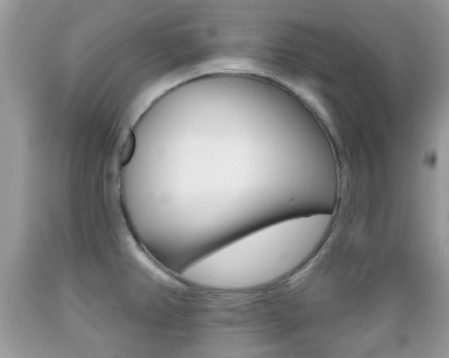 X0000089661382200706210721