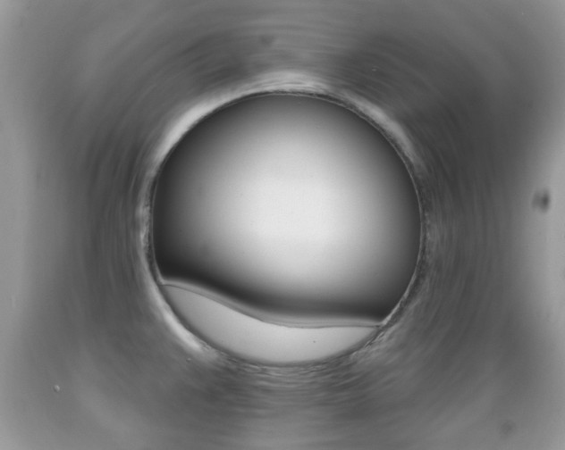 X0000089661383200706210721