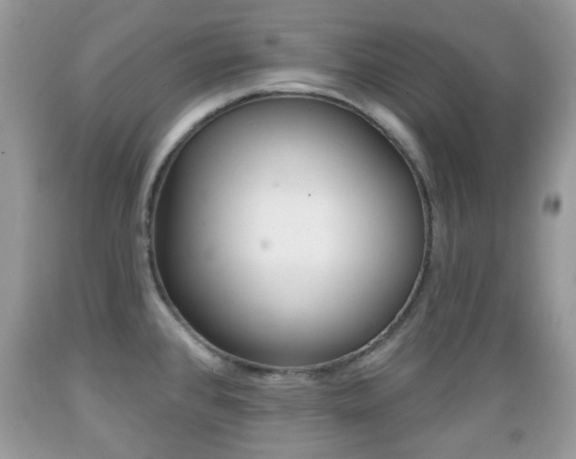 X0000089661384200706210721