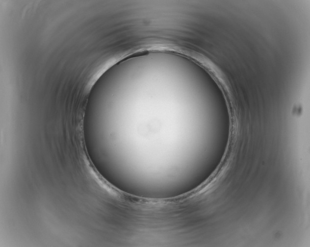 X0000089661385200706210721