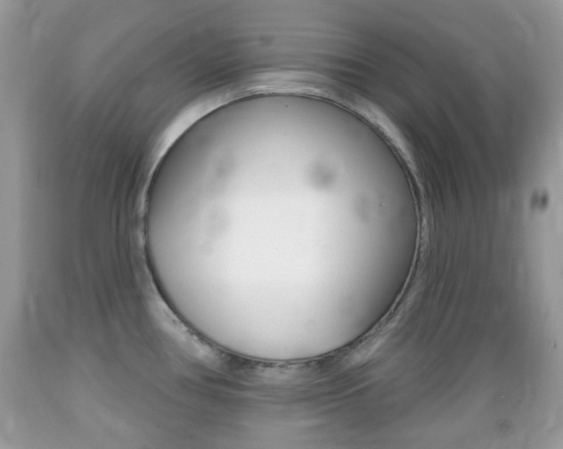 X0000089661386200706210721