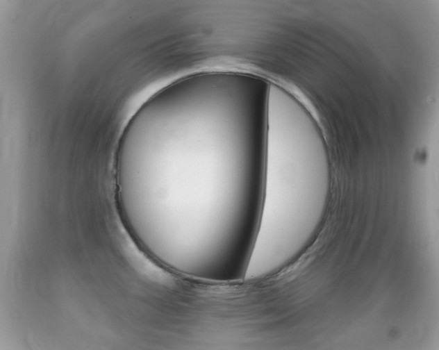 X0000089661387200706210721