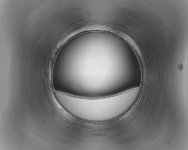 X0000089661388200706210721