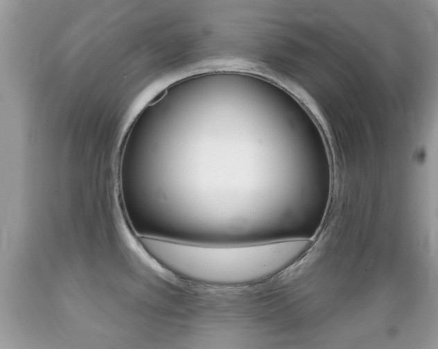 X0000089661389200706210721
