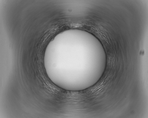 X0000089661393200706210720