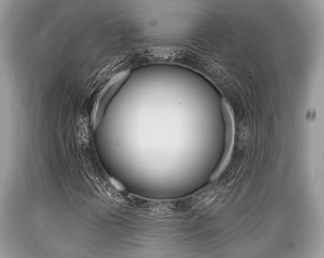 X0000089661394200706210720
